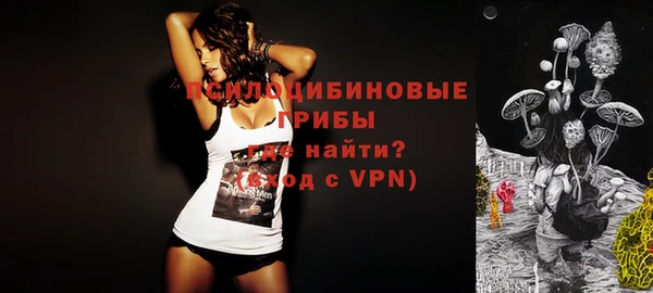 спайс Белокуриха