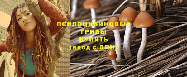 спайс Белокуриха