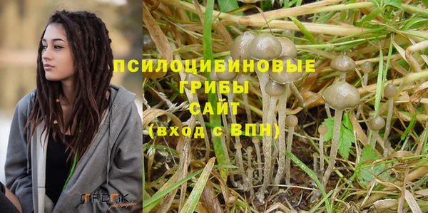 спайс Белокуриха