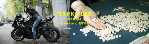 таблы Осинники